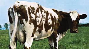 Image result for copertine dischi pink floyd