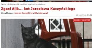 Sugeruje to zdjęcie opublikowane dziś przez rzecznik prawa i sprawiedliwości beatę mazurek. Alik Nie Zyje Odszedl Kot Kaczynskiego Kozaczek