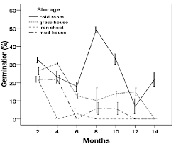 Image result for Diospyros abyssinica