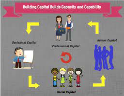 Four Seasons In One Kiwi: Building Capital To Build Capacity