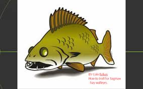 How To Troll For Walleye In The Saginaw Bay By Cole Folkes