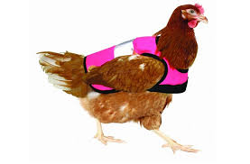 Heute abend spielt die deutsche nationalmannschaft ihr erstes vorrundenspiel gegen weltmeister frankreich. Bei Amazon Und Co Werden Viele Verruckte Produkte Angeboten Unter Anderem Auch Diese Zensurbalken Brille Stuttgarter Nachrichten