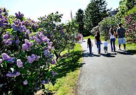 Living in highland park offers residents an urban suburban mix feel and most residents rent their homes. The Best Places To See Flowers Bloom Garden Destinations Magazine