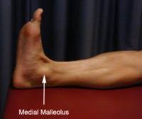 This tendon stabilizes the arch of the foot when walking. Ankle Pain Ankle Diagnosis Physioadvisor