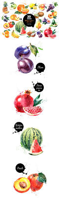 The Versatile Vector Collection 1000s Of High Quality Resources Fruits Aquarelle Illustration De Fruits Et Dessin Fruits