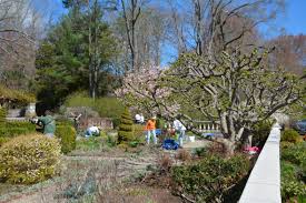 He died unexpectedly on may 29, just 10 days after a major leg surgery. Goodbody Garden Fort Stamford