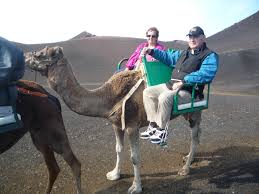 One of the best known touristic attractions in lanzarote is the camel ride along the timanfaya national park. Island Of Fiery Mountains Wonderquests