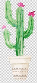Browse the user profile and get inspired. Succulent Plant Watercolor Painting Drawing Cactaceae Png Clipart Cactus Flowers Canvas Flower Flower Bouquet Flower Pattern
