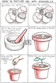 Pin On Gardening