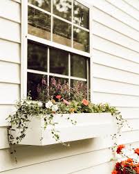Often overlooked for window boxes are foolproof flowering bulbs. 20 Window Box Flower Ideas What Flowers To Plant In Window Boxes Apartment Therapy
