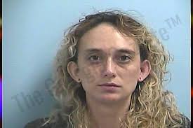 Rylee Brooks — Dawson County Jail Bookings