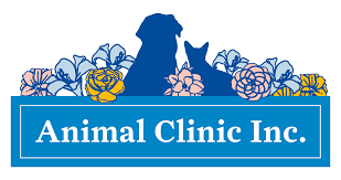 All pets veterinary clinic is a full service animal clinic offering pet preventative, wellness, dental, and surgical services. Iowa City Ia Veterinary Team Animal Clinic Inc