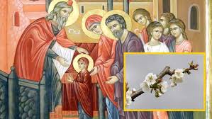 21 noiembrie, ziua când se deschid cerurile şi se „leagă farmecele. Intrarea Maicii Domnului In BisericÄƒ PrÄƒznuitÄƒ In Fiecare An Pe 21 Noiembrie