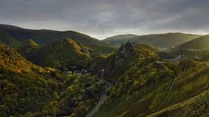 Der rotweinwanderweg im ahrtal gilt jetzt schon seit mehr als 30 jahren als einer der beliebtesten ausflugsziele deutschlands. Wandern Auf Dem Ahrsteig Von Kreuzberg Nach Walporzheim