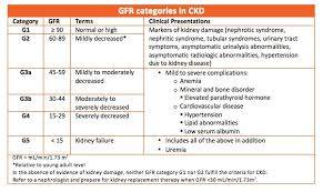 Why is kidney function test done? Gfr National Kidney Foundation