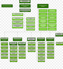 Brand Line Font Organization Chart Png Download 2113