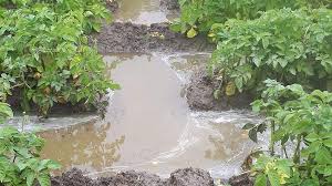 Vanaf vrijdagavond kunnen volgens het weerinstituut in limburg enkele. Opnieuw Zware Buien En Wateroverlast In Zuid Limburg En Noord Holland Agraaf Nl Landbouwnieuws Voor West Nederland