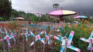 Cemas Gelisah Tts Download File Guru