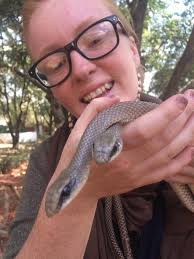 Any idea what this animal is from Liuwa Plains?