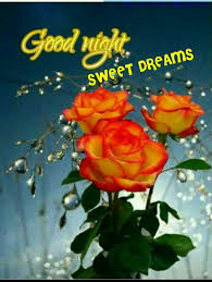 Go O D Night Sweet Dreams Roes Beautiful Rose Flowers Flowers Gif Beautiful Roses