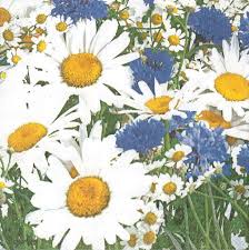 Download free other wallpapers and desktop backgrounds! Serviette Papier Bouquet De Marguerite Et Bleuet Un Grand Marche