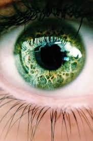 Blue Aesthetic Find What You Love And Let It Kill You Find What You Love And Let It Kill You Green Eyes Eye Photography Cool Eyes