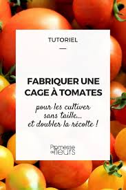 Construire Une Cage A Tomates Tutoriel Potager Tomates Systeme Aquaponique Potager
