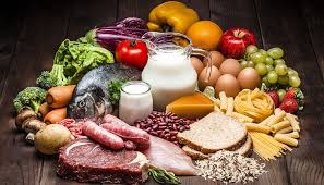 Scopri ricette, idee per la casa, consigli di stile e altre idee da provare. Recursos Vegetales Y Animales