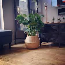 Ikea Monstera 39zl Kosz Komoda Fjallbo 39zl Fjallbo Ikea Komoda Kosz Monstera Decoracion Salones Decoracion De Unas Hogar