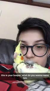 What do you think of these names for our new cockatiel?