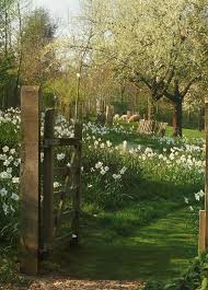 Pin By Fifi On Flora Meadow Garden Cottage Garden Nature Aesthetic