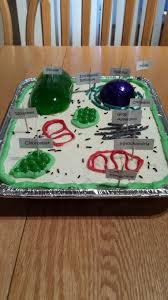 She decided to work with bees and the colors that attract them, all daddy asked this time was. 22 Best Pant Cell Ideas Cells Project Plant Cell Project Animal Cell Project