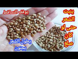 مكون معجزة سبحان الله ينبت الشعر حتى لو كان صلع ويوقف التساقط في الحين يملأ الفراغات ويكثف الشعر youtube