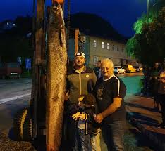 Na lice mesta su stigli i ronioci. U Drini Upecan Som Tezak 84 Kilograma I Dug Dva I Po Metra