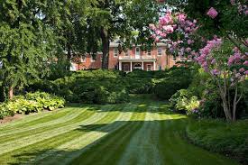 Well Manicured Backyard Nw Washington Dc Chapel Valley Landscape Company Commercial Landscaping Valley Landscape Landscaping Company