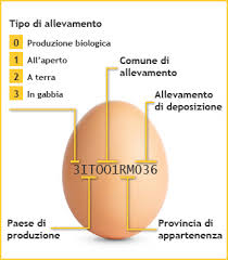 Un'etichetta alimentare è una fotografia a parole del prodotto che vado ad acquistare e in più è necessario che io consumatore sappia se ci sono allergeni, che tipo di allergeni sono, informazioni sulle tracce se è possibile. Leggi L Etichetta E Scegli L Alimento Giusto
