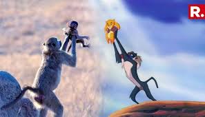 Share the best gifs now >>>. Monkey Recreates Famous Circle Of Life Scene From The Movie The Lion King