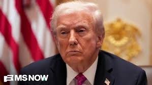 Who is Donald Trump, and what is his political outlook?