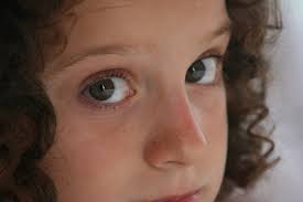 Victoria Toro archivos