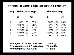 Goatyogaresults Pamela Wible Md