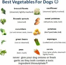 Chilli and ginger dressing gives crunchy veg a. Vegan Dog Food Homemade Vegan Dog Food Vegan Dog Dog Vegetables