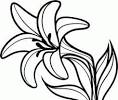 Silhouette Lily Clipart Black And White