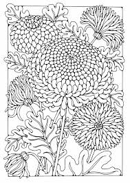 All chrysanthemum click coloring pages printable with flower page download about remodel seasonal colouring additional. Pin On Coloring