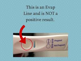 Pregnancy test evaporation line i wasn t expecting this youtube. Experiment Clever C Nt S Guide To Pregnancy Tests Uk Clever C Nt S