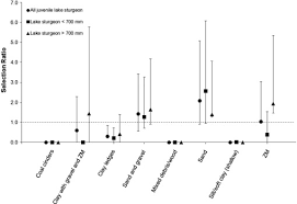 habitat used by juvenile lake sturgeon acipenser fulvescens