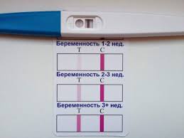 Otvet Eksperta Kogda Mozhno Delat Test Na Beremennost Cherez Skolko Vremeni Posle Uspeshnogo Seksa Mozhno Obradovatsya Nastupleniyu Beremennosti
