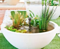 We bring the opportunity of pond building within the budget of all consumers. Container Garden Gallery Small Fish Ponds Garden Ponds Koi Pond
