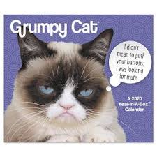 Top 10 Best Funny Day To Day Calendars 2021 Grumpy Cat Cat Years Cats