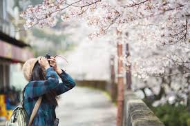 Maybe you would like to learn more about one of these? Sudah Siap Traveling Inilah 10 Rekomendasi Pakaian Yang Cocok Kamu Kenakan Saat Musim Semi Di Jepang