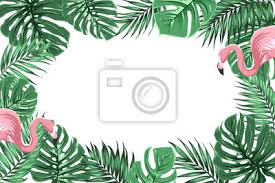 Finde und downloade kostenlose grafiken für weihnachten rahmen. Tropische Exotische Rahmen Rahmen Vorlage Mit Leuchtend Grunen Leinwandbilder Bilder Monstera Platzhalter Aloha Myloview De